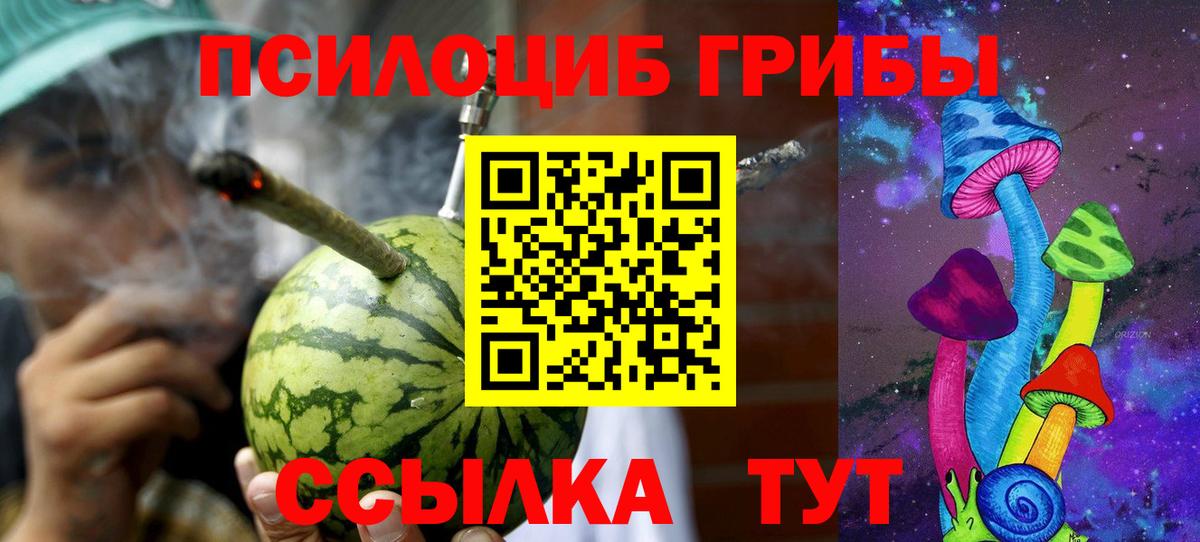 купить наркотики цена  Псилоцибиновые грибы Psilocybine cubensis  Вход с VPN  Кирово-Чепецк 
